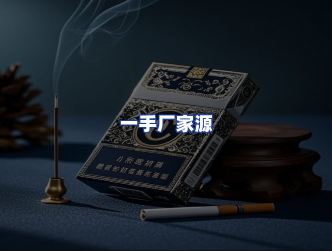 专业团队